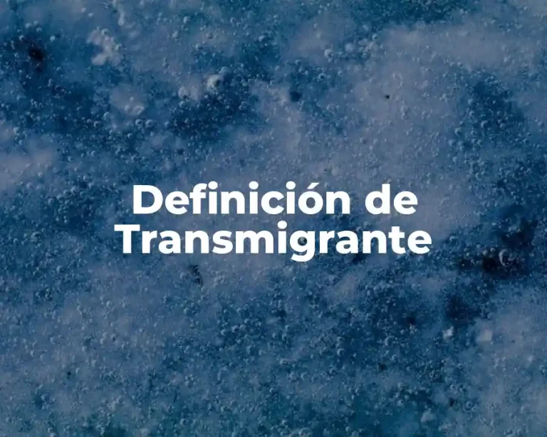 Definición de Transmigrante