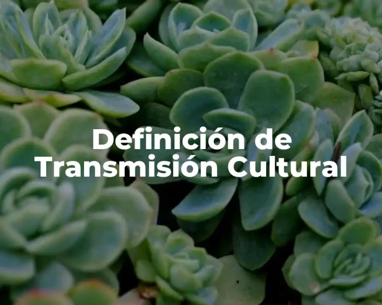 Definición de Transmisión Cultural