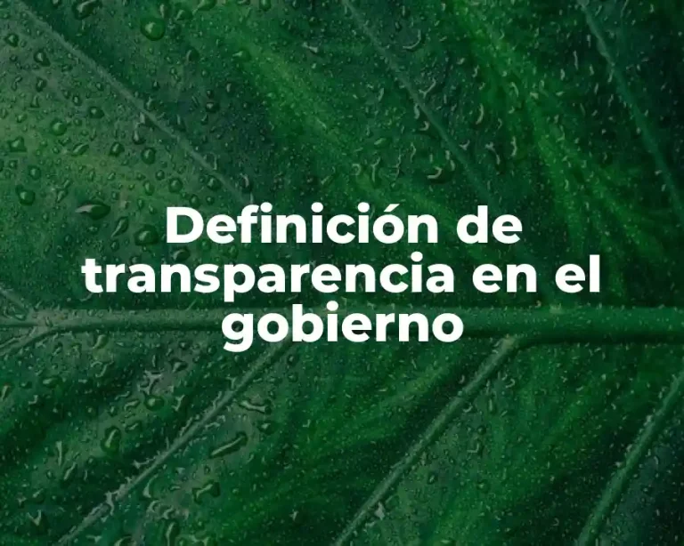 Definición de transparencia en el gobierno