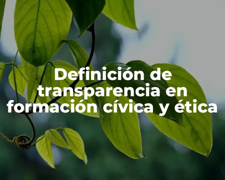 Definición de transparencia en formación cívica y ética