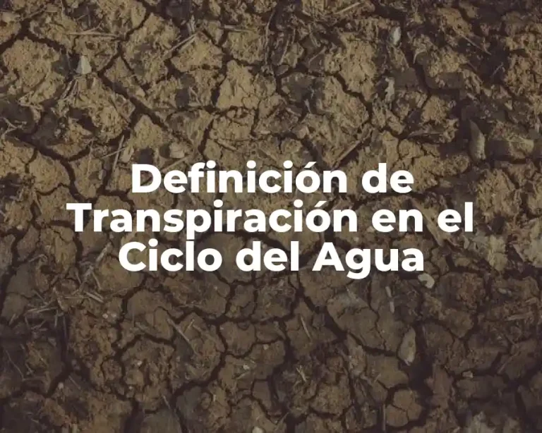 Definición de Transpiración en el Ciclo del Agua