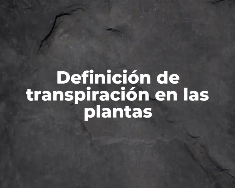 Definición de transpiración en las plantas