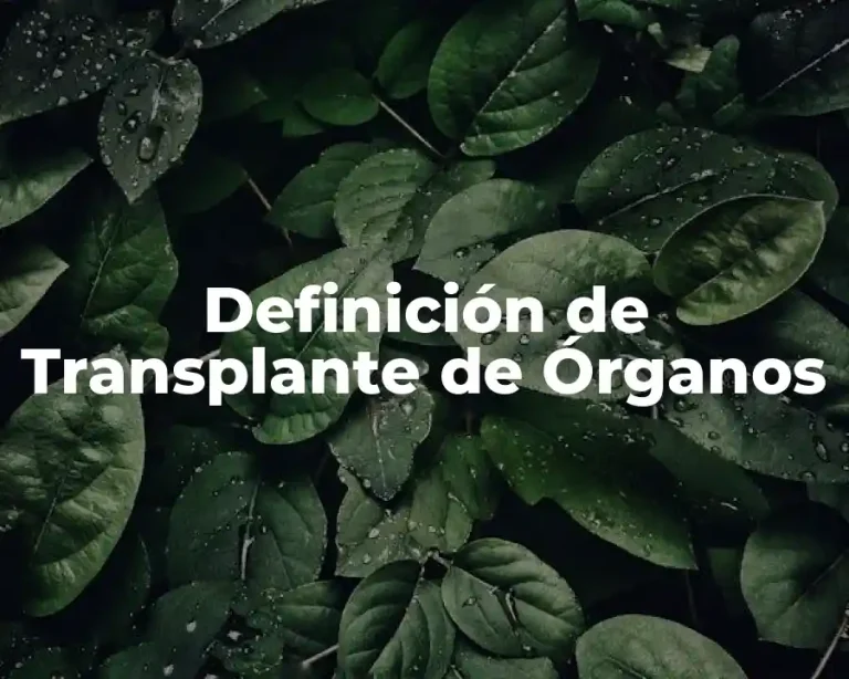 Definición de Transplante de Órganos