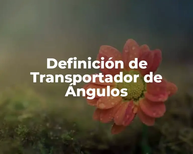 Definición de Transportador de Ángulos