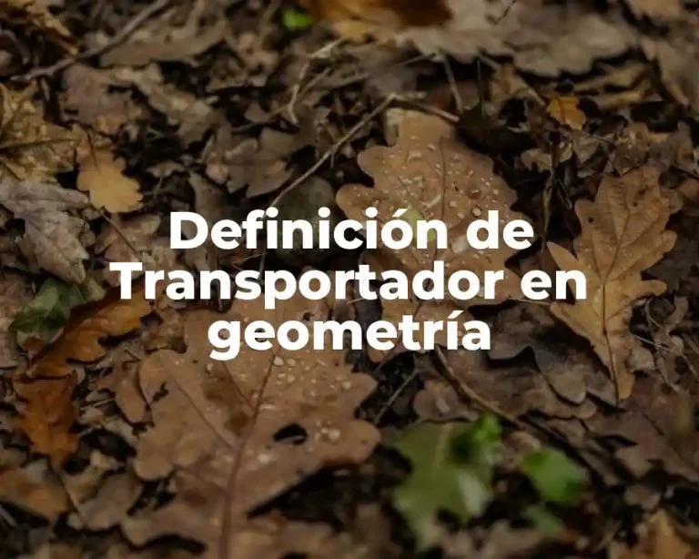 Definición de Transportador en geometría