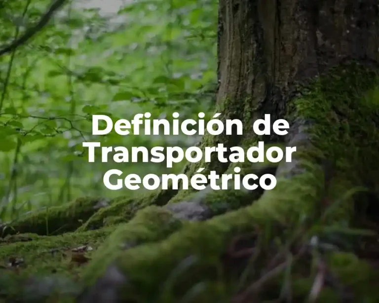 Definición de Transportador Geométrico