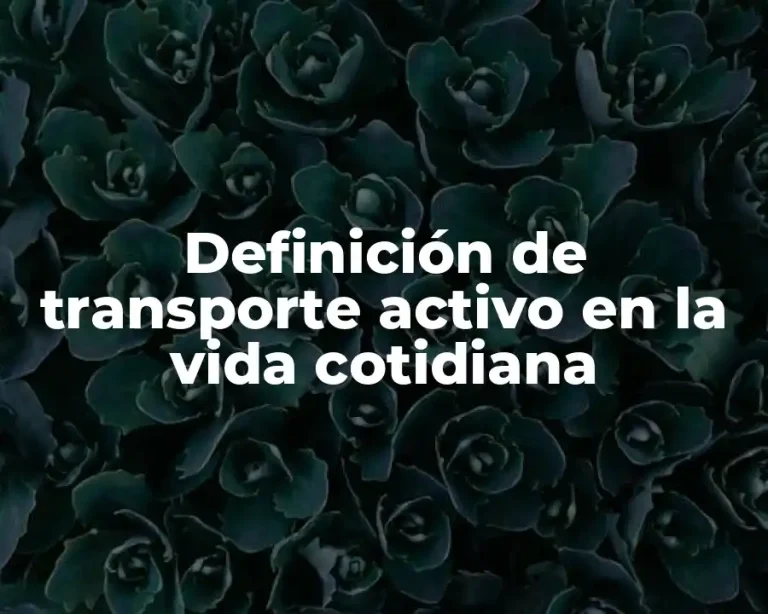 Definición de transporte activo en la vida cotidiana