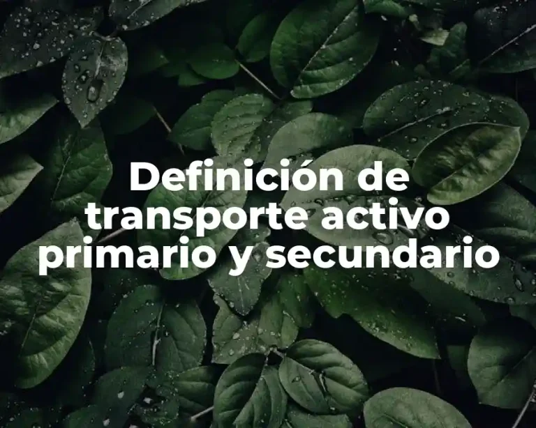 Definición de transporte activo primario y secundario