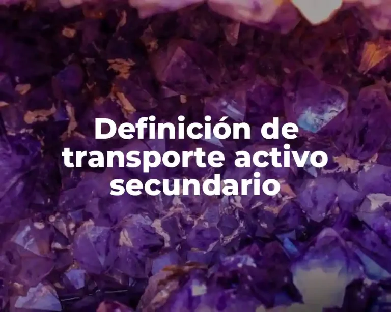 Definición de transporte activo secundario