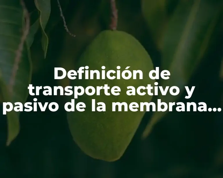 Definición de transporte activo y pasivo de la membrana celular