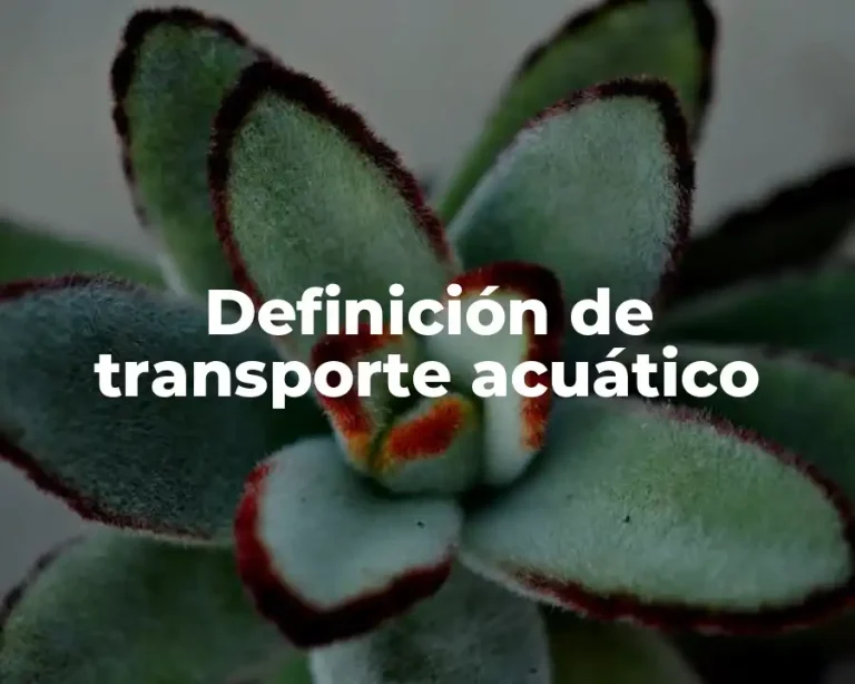 Definición de transporte acuático
