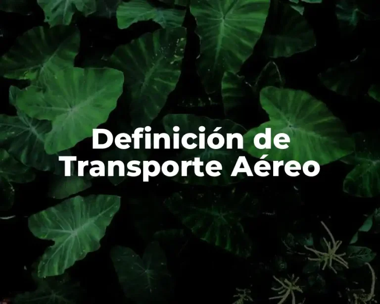 Definición de Transporte Aéreo