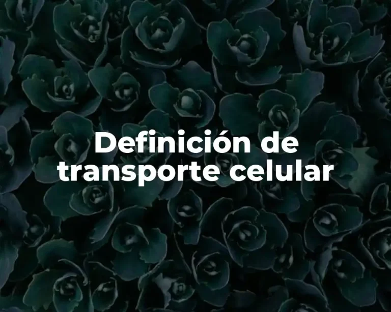 Definición de transporte celular