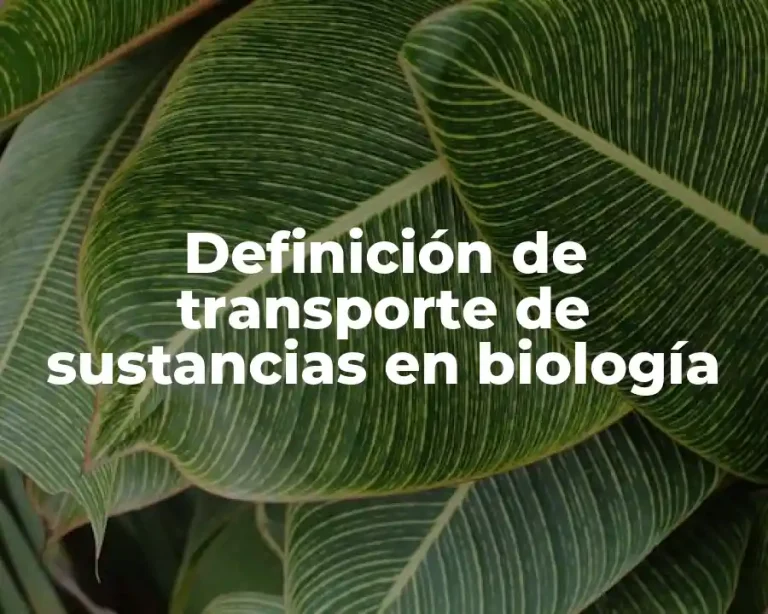 Definición de transporte de sustancias en biología