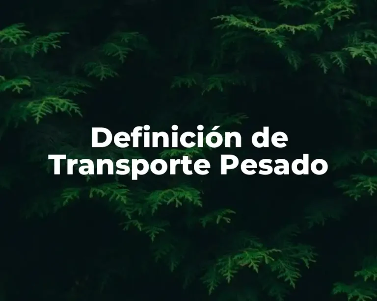 Definición de Transporte Pesado
