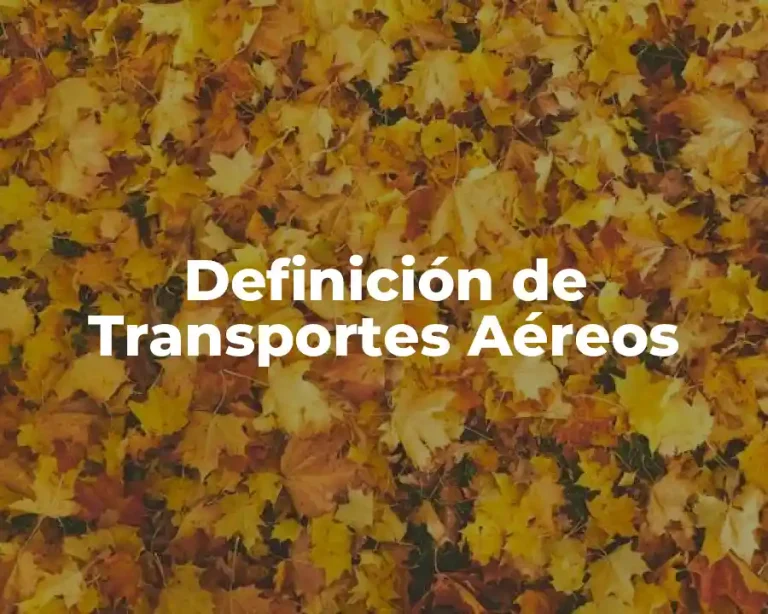 Definición de Transportes Aéreos