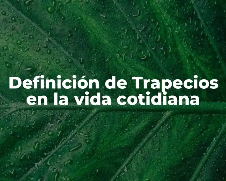 Definición de Trapecios en la vida cotidiana