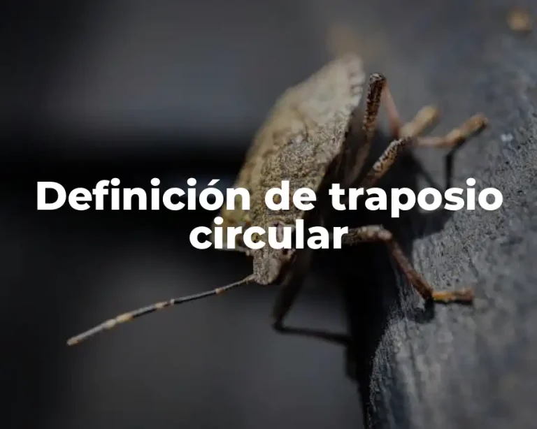 Definición de traposio circular
