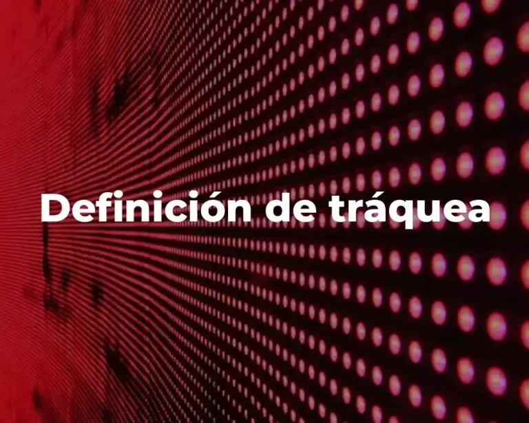 Definición de tráquea