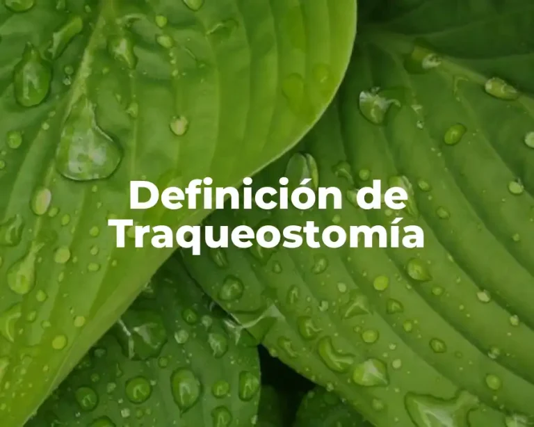 Definición de Traqueostomía