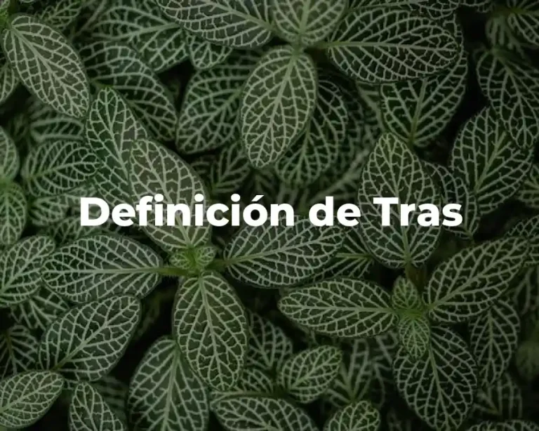 Definición de Tras