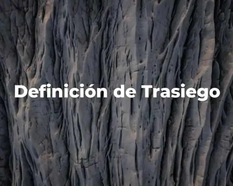 Definición de Trasiego