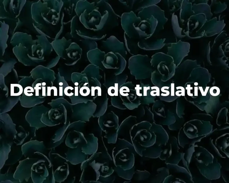Definición de traslativo
