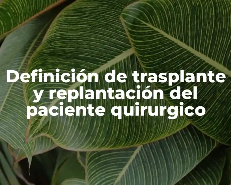Definición de trasplante y replantación del paciente quirurgico