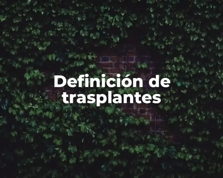 Definición de trasplantes