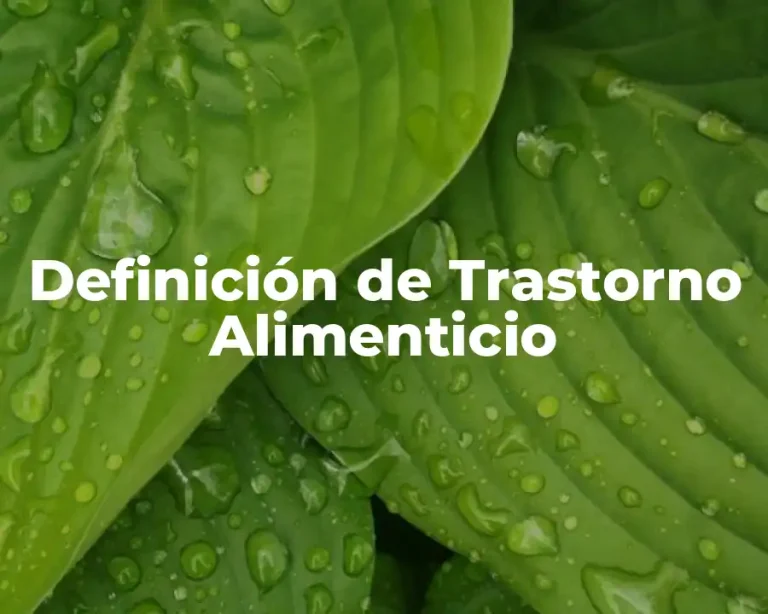 Definición de Trastorno Alimenticio