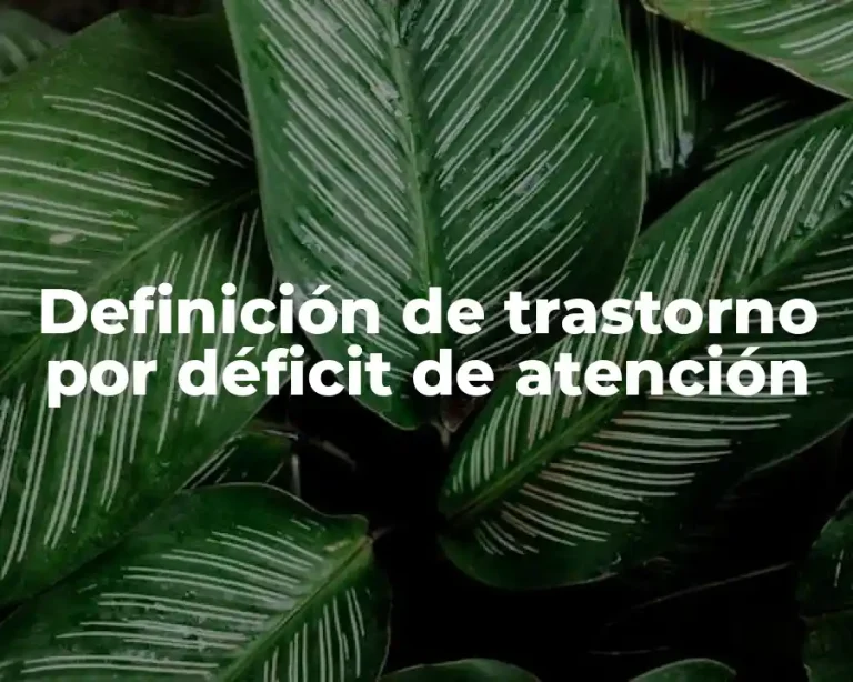 Definición de trastorno por déficit de atención