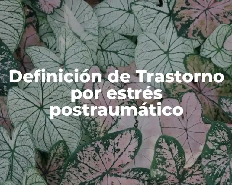 Definición de Trastorno por estrés postraumático