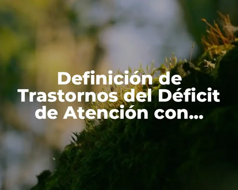 Definición de Trastornos del Déficit de Atención con Hiperactividad (TDAH)