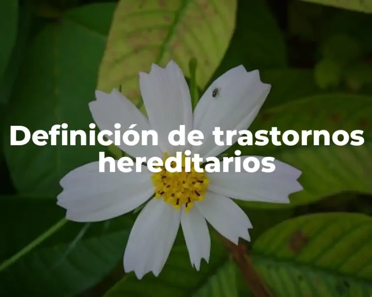 Definición de trastornos hereditarios