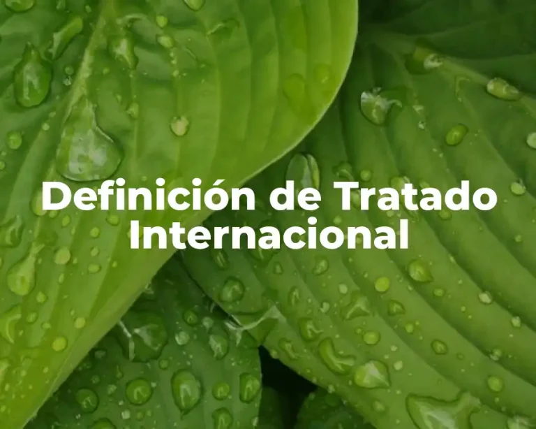 Definición de Tratado Internacional