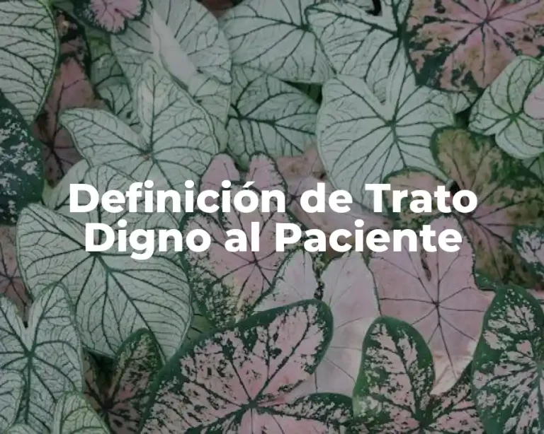 Definición de Trato Digno al Paciente