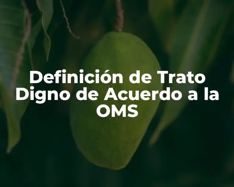 Definición de Trato Digno de Acuerdo a la OMS