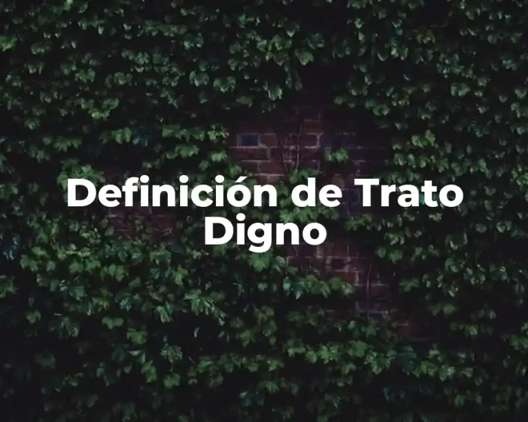 Definición de Trato Digno