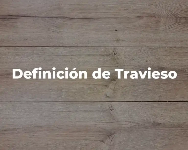 Definición de Travieso
