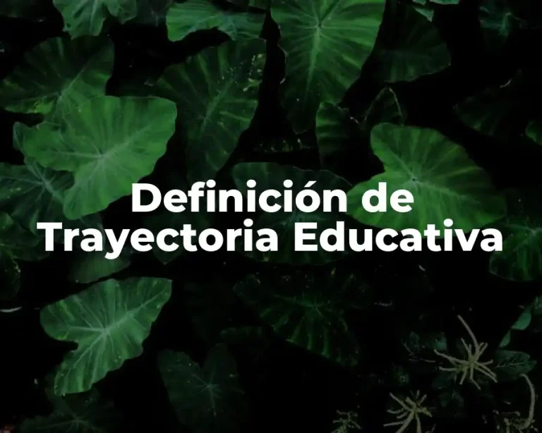 Definición de Trayectoria Educativa