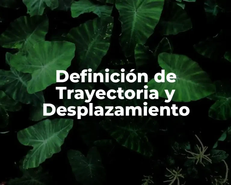 Definición de Trayectoria y Desplazamiento