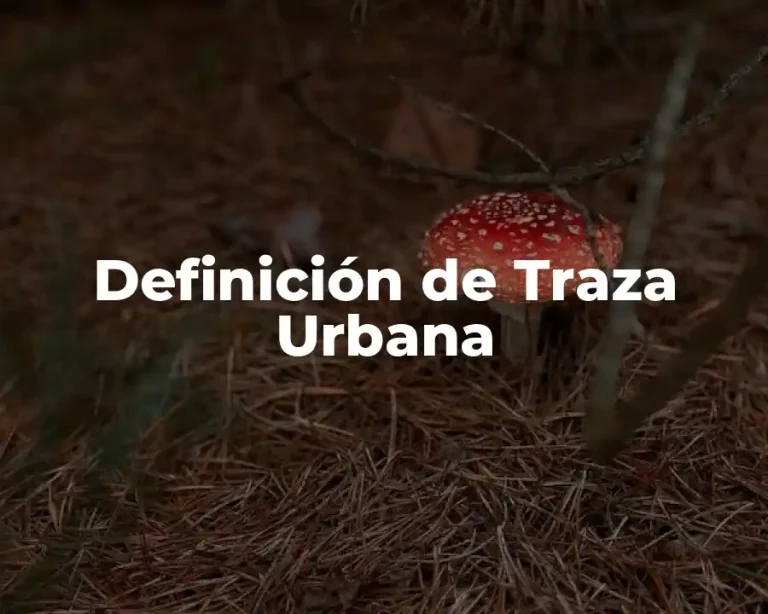 Definición de Traza Urbana