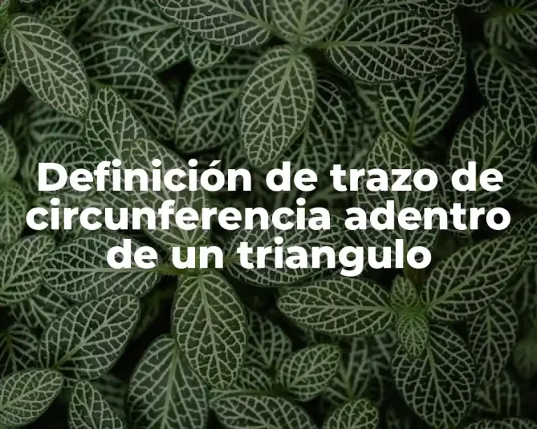 Definición de trazo de circunferencia adentro de un triangulo