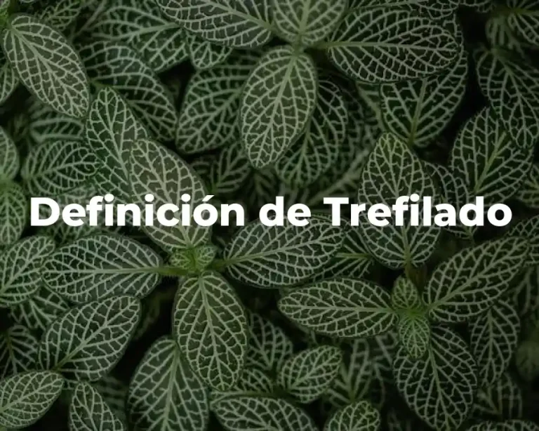 Definición de Trefilado