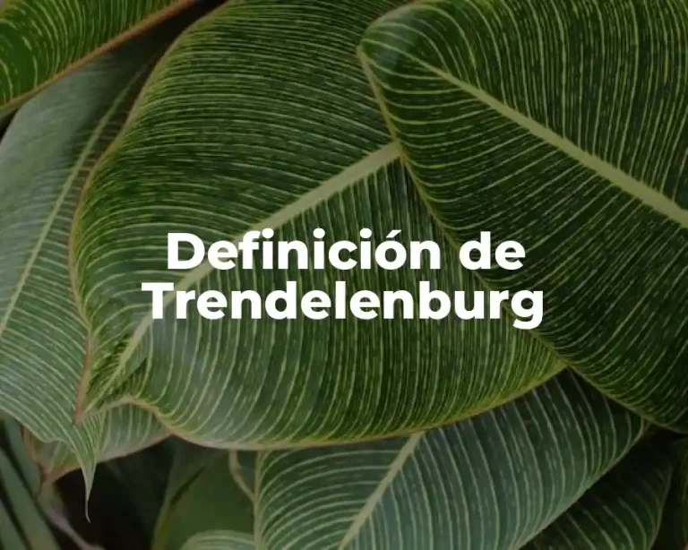 Definición de Trendelenburg