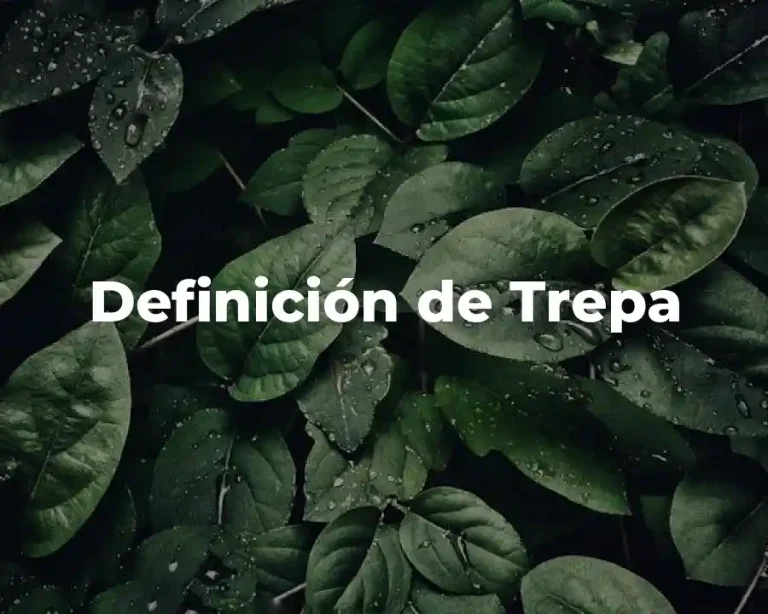 Definición de Trepa