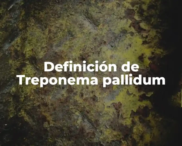 Definición de Treponema pallidum