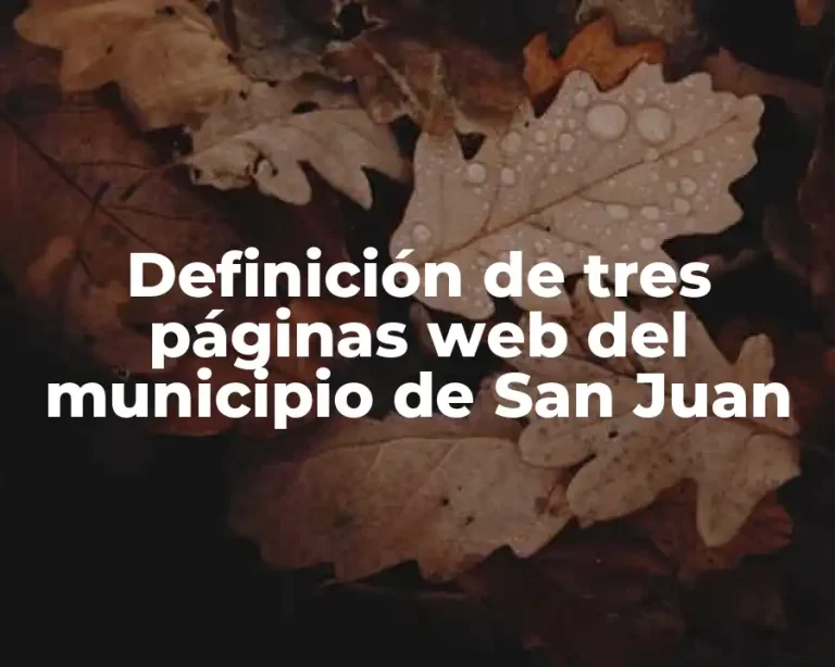 Definición de tres páginas web del municipio de San Juan