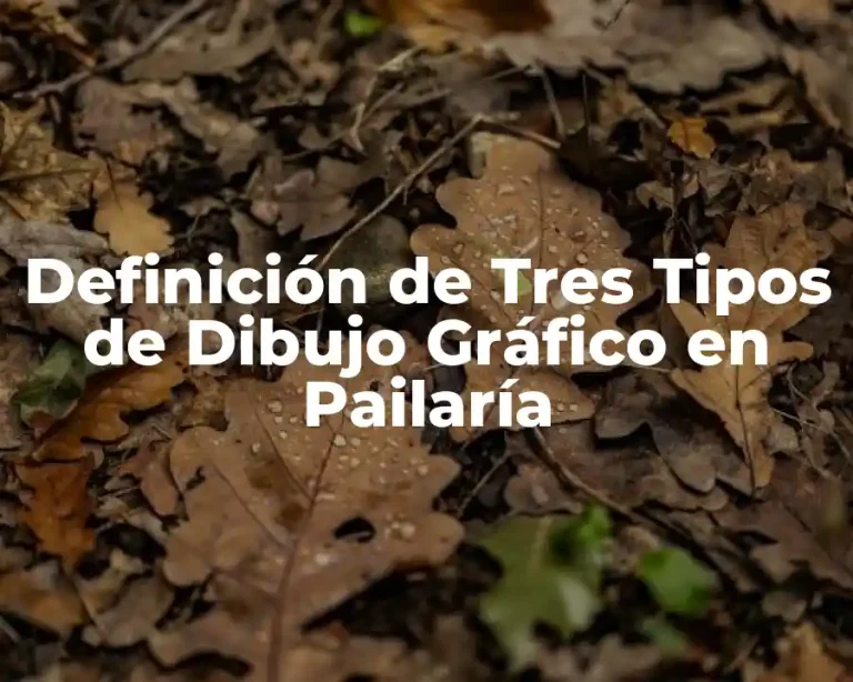 Definición de Tres Tipos de Dibujo Gráfico en Pailaría