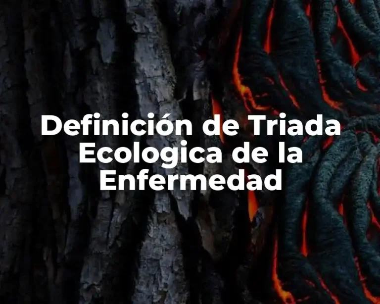 Definición de Triada Ecologica de la Enfermedad